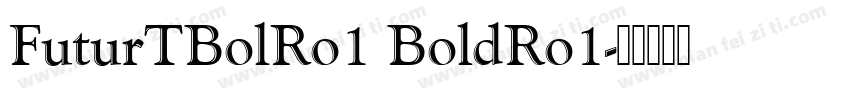 FuturTBolRo1 BoldRo1字体转换